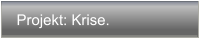 Projekt: Krise.